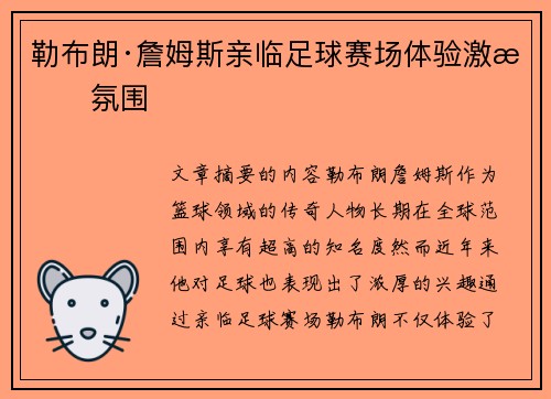 勒布朗·詹姆斯亲临足球赛场体验激情氛围